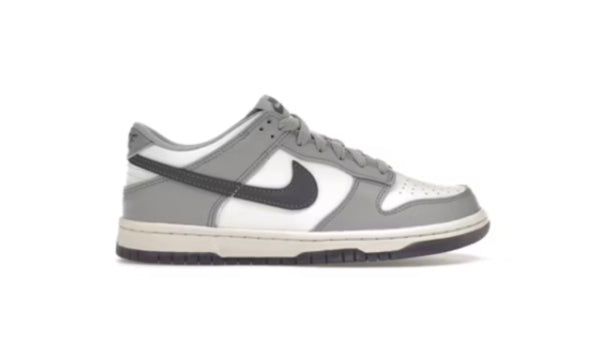 Nike Dunk Low (GS) Platinum Tint Light Carbon